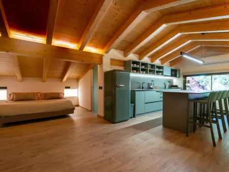 Loft de montagne Trencalòs, animaux admis, Appartement 2 personnes à Montardit de Dalt - Photo 1