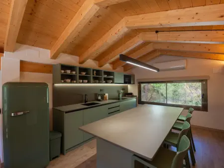 Loft de montagne Trencalòs, animaux admis, Appartement 2 personnes à Montardit de Dalt - Photo 2