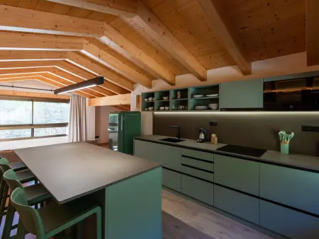Loft de montagne Trencalòs, animaux admis, Appartement 2 personnes à Montardit de Dalt - Photo 4