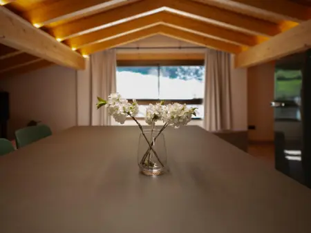 Loft de montagne Trencalòs, animaux admis, Appartement 2 personnes à Montardit de Dalt - Photo 5