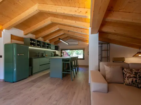 Loft de montagne Trencalòs, animaux admis, Appartement 2 personnes à Montardit de Dalt - Photo 8
