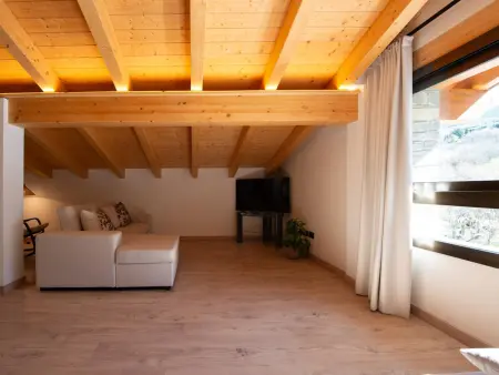 Loft de montagne Trencalòs, animaux admis, Appartement 2 personnes à Montardit de Dalt - Photo 9