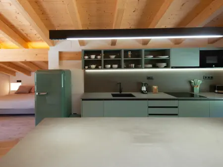 Loft de montagne Trencalòs, animaux admis, Appartement 2 personnes à Montardit de Dalt - Photo 10