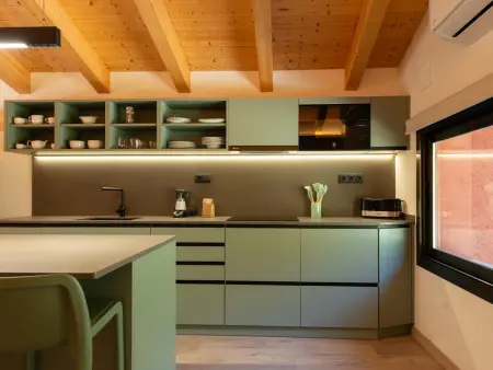 Loft de montagne Trencalòs, animaux admis, Appartement 2 personnes à Montardit de Dalt - Photo 13
