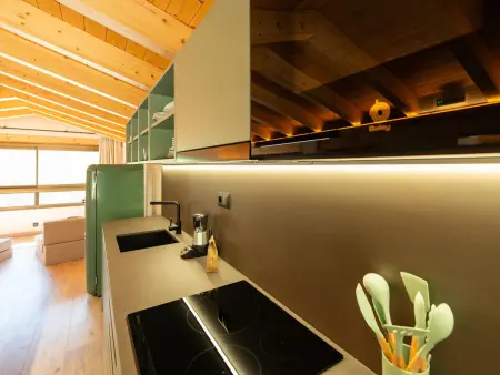 Loft de montagne Trencalòs, animaux admis, Appartement 2 personnes à Montardit de Dalt - Photo 14