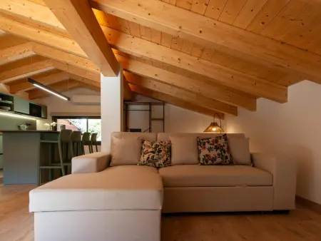 Loft de montagne Trencalòs, animaux admis, Appartement 2 personnes à Montardit de Dalt - Photo 16