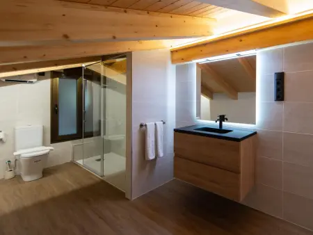 Loft de montagne Trencalòs, animaux admis, Appartement 2 personnes à Montardit de Dalt - Photo 18