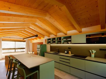 Loft de montagne Trencalòs, animaux admis, Appartement 2 personnes à Montardit de Dalt - Photo 22
