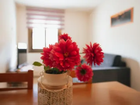 Appartement fonctionnel à Montardit de Baix, animaux admis - Photo 3