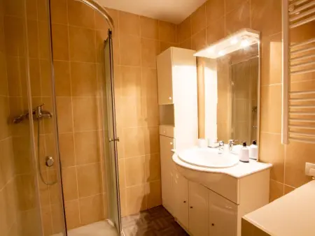 Maison climatisée avec piscine privée et animaux admis - Photo 12