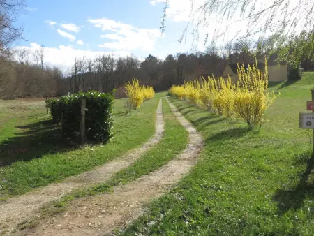 Chaleureuse Bergerie à Sarlat avec Wifi et Parking - Photo 4