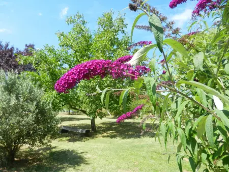 Maison champêtre spacieuse avec jardin et terrasse - Photo 5