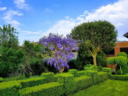 Gemütliches Haus mit eingezäuntem Garten, Maison 10 personnes à Merksplas - Photo 17