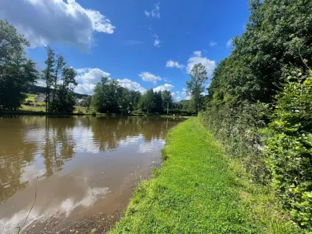 Chalet du pêcheur - Sauna und Hallenbad, Maison 8 personnes à Trois Ponts - Photo 43