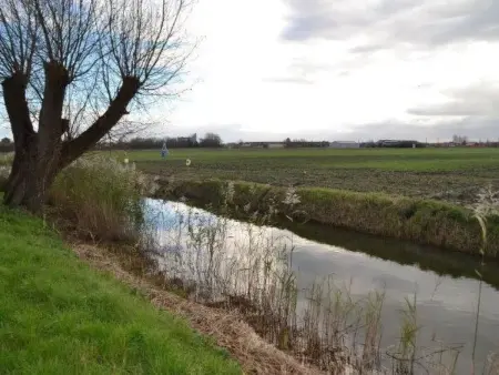 Windekind mit Blick auf die Felder, Maison 4 personnes à De Panne - Photo 33