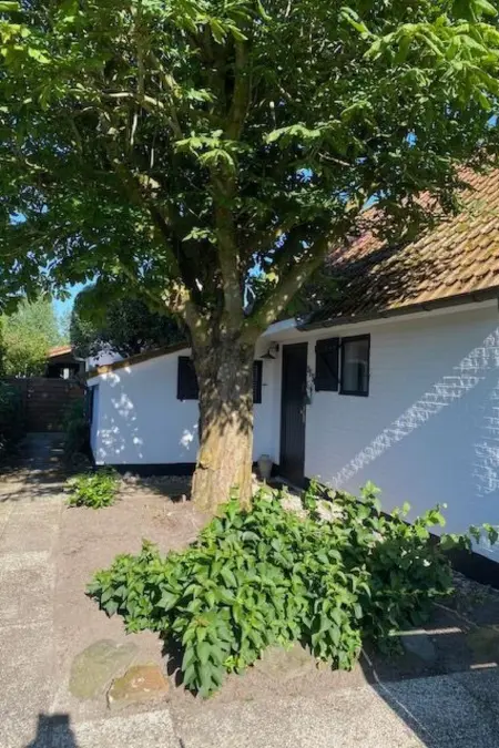 Zonnewind in der Nähe von Dünen und Wald, Maison 6 personnes à De Panne - Photo 1