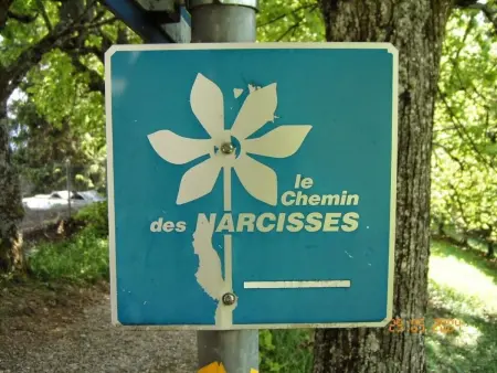Les Narcisses,Blonay, Appartement 6 personnes à Blonay - Photo 16