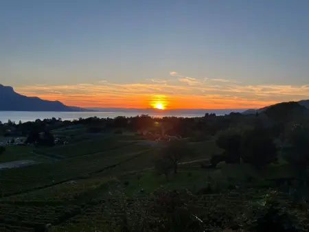 Vigneronne, App. Lac, Appartement 3 personnes à Montreux - Photo 17