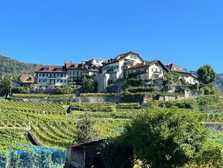 Vigneronne, App. Lac, Appartement 3 personnes à Montreux - Photo 18