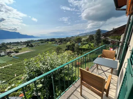 Vigneronne, App. Lac, Appartement 3 personnes à Montreux - Photo 19