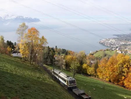 Gais Alpins, Maison 4 personnes à Montreux - Photo 7