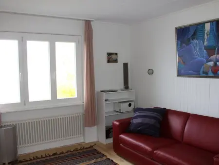 Gais Alpins, Maison 4 personnes à Montreux - Photo 15