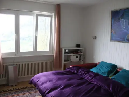 Gais Alpins, Maison 4 personnes à Montreux - Photo 16