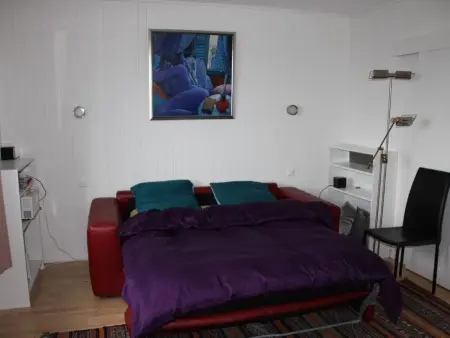 Gais Alpins, Maison 4 personnes à Montreux - Photo 17