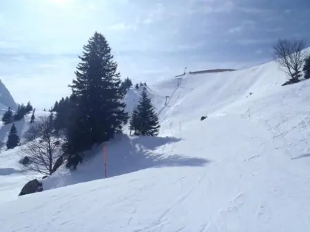 Gais Alpins, Maison 4 personnes à Montreux - Photo 33