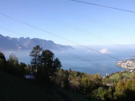 Gais Alpins, Maison 4 personnes à Montreux - Photo 34