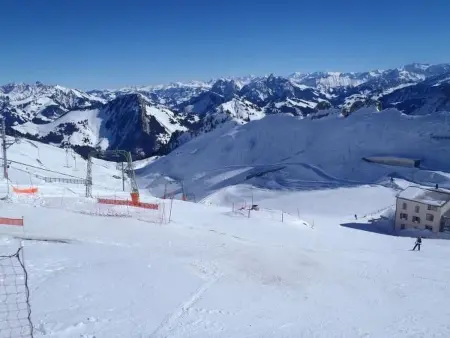 Gais Alpins, Maison 4 personnes à Montreux - Photo 38