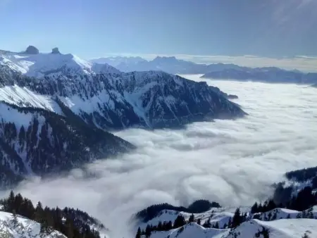 Gais Alpins, Maison 4 personnes à Montreux - Photo 39