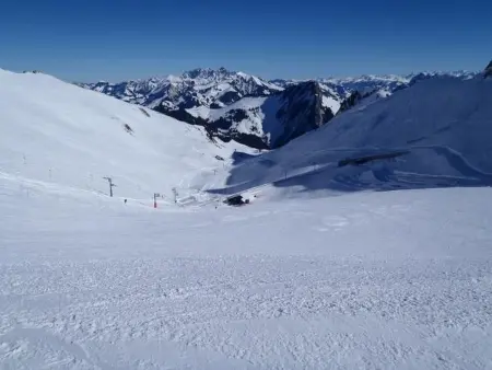 Gais Alpins, Maison 4 personnes à Montreux - Photo 41
