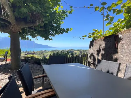 Vigneronne, Vigne, Appartement 6 personnes à Montreux - Photo 1
