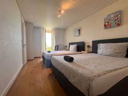 Vigneronne, Vigne, Appartement 6 personnes à Montreux - Photo 6