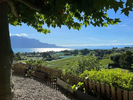 Vigneronne, Vigne, Appartement 6 personnes à Montreux - Photo 12