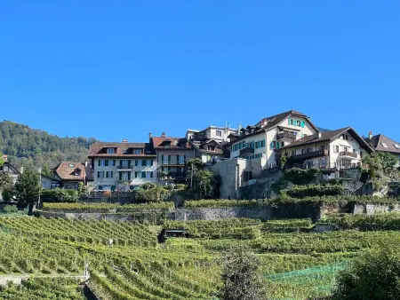 Vigneronne, Vigne, Appartement 6 personnes à Montreux - Photo 15