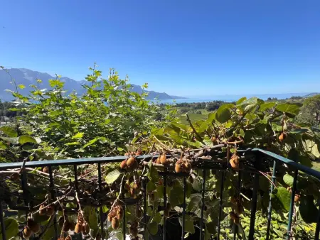 Vigneronne, Vigne, Appartement 6 personnes à Montreux - Photo 16