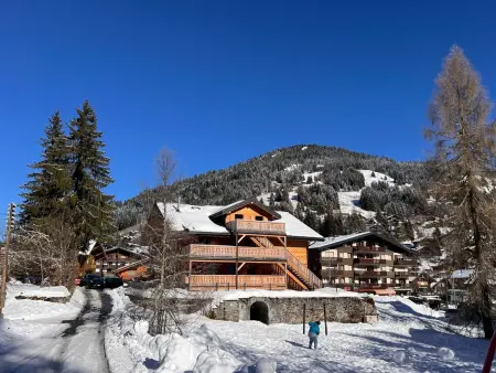 Peak App., Morgins, Appartement 8 personnes à Morgins - Photo 17