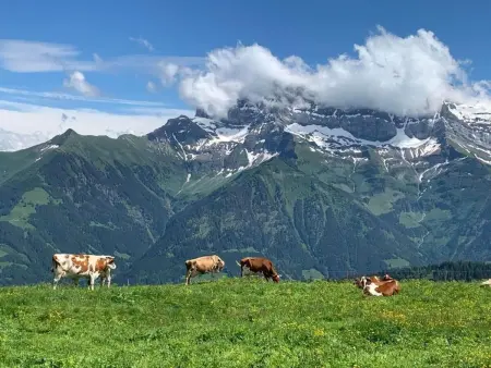 Peak App., Morgins, Appartement 8 personnes à Morgins - Photo 22