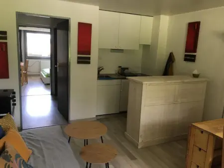 Apartment plus Pool, Appartement 3 personnes à Morgins - Photo 2