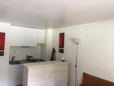 Apartment plus Pool, Appartement 3 personnes à Morgins - Photo 4