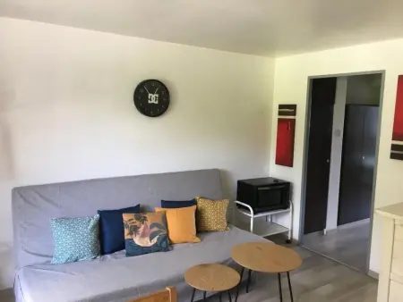 Apartment plus Pool, Appartement 3 personnes à Morgins - Photo 5