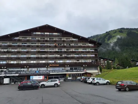 Apartment plus Pool, Appartement 3 personnes à Morgins - Photo 14