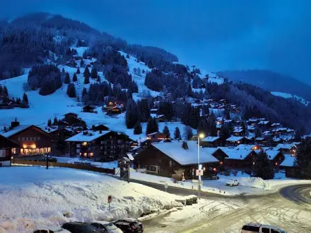 Apartment plus Pool, Appartement 3 personnes à Morgins - Photo 25