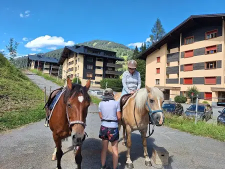 Apartment plus Pool, Appartement 3 personnes à Morgins - Photo 30