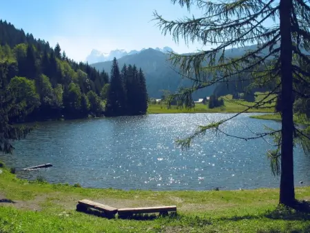 Apartment plus Pool, Appartement 3 personnes à Morgins - Photo 32