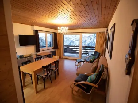 3 Zi FeWo App 23. Le Miroi an Skipiste, Appartement 5 personnes à Les Crosets - Photo 5