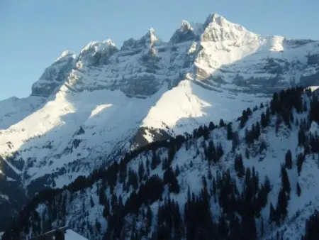 3 Zi FeWo App 23. Le Miroi an Skipiste, Appartement 5 personnes à Les Crosets - Photo 23