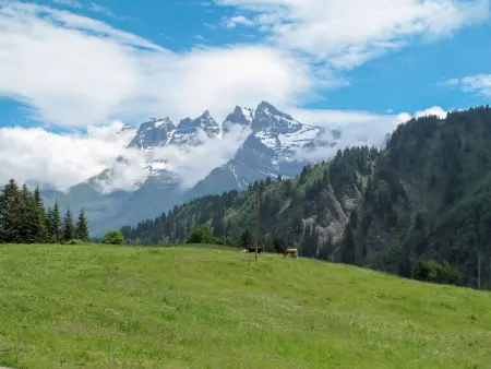 3 Zi FeWo App 23. Le Miroi an Skipiste, Appartement 5 personnes à Les Crosets - Photo 27